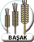 basaklogo.gif (2591 bytes)